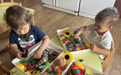 Les bacs sensoriels : jouer, toucher et découvrir !